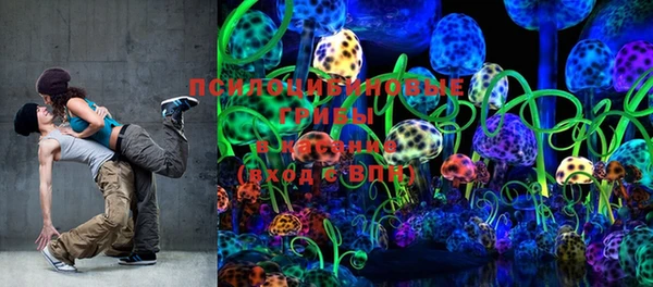 PSILOCYBIN Алзамай
