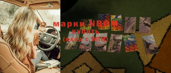 PSILOCYBIN Алзамай