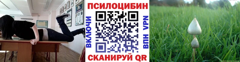 Псилоцибиновые грибы Psilocybe  omg зеркало  Мензелинск 